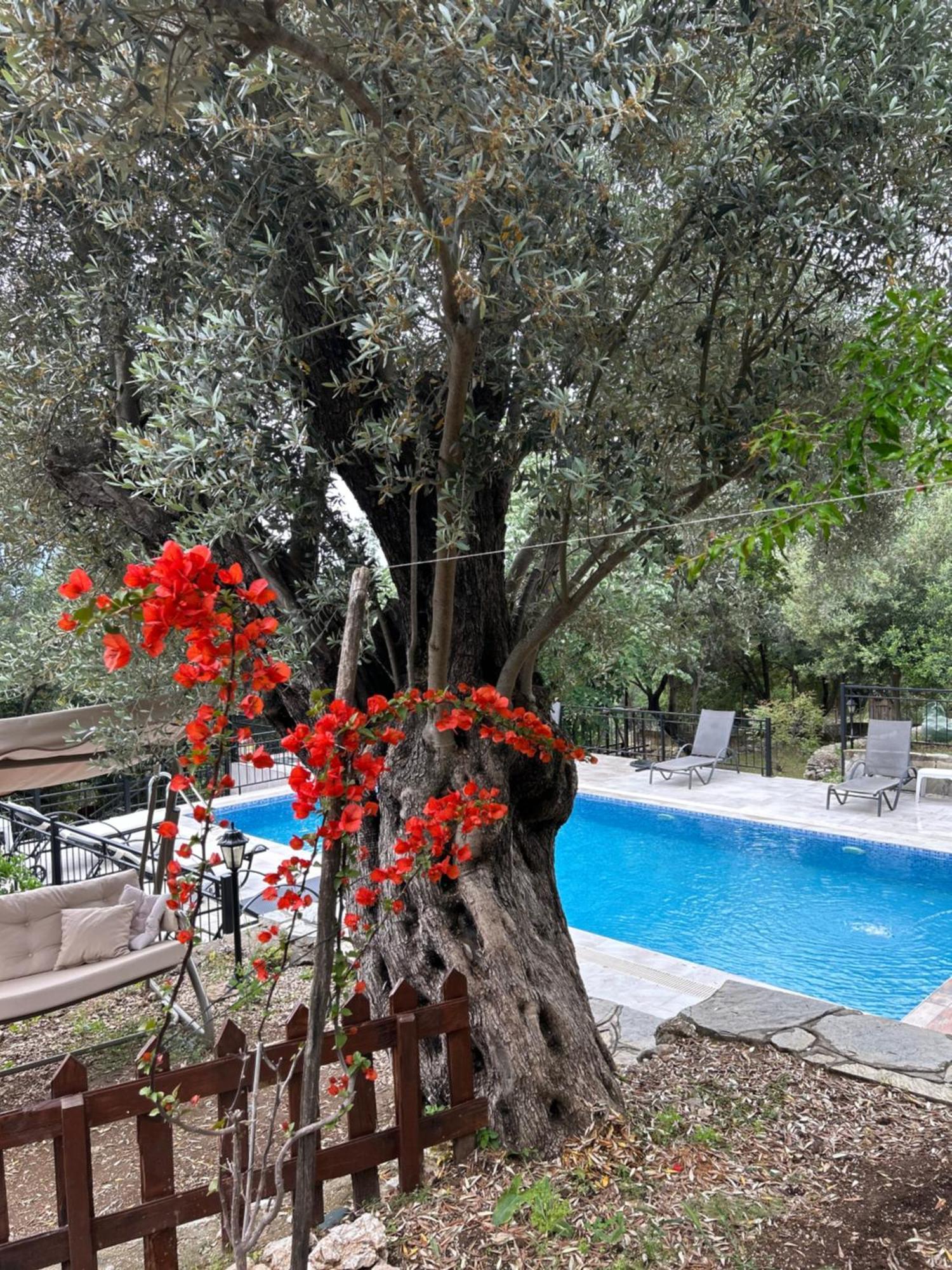 Antalya Bodrum Kayasi Dag Oteli Hasdumen 외부 사진